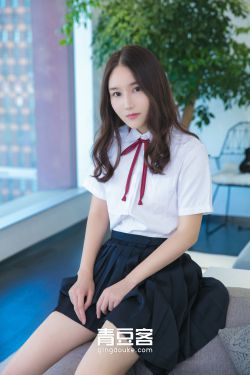 织田信奈的野望小说